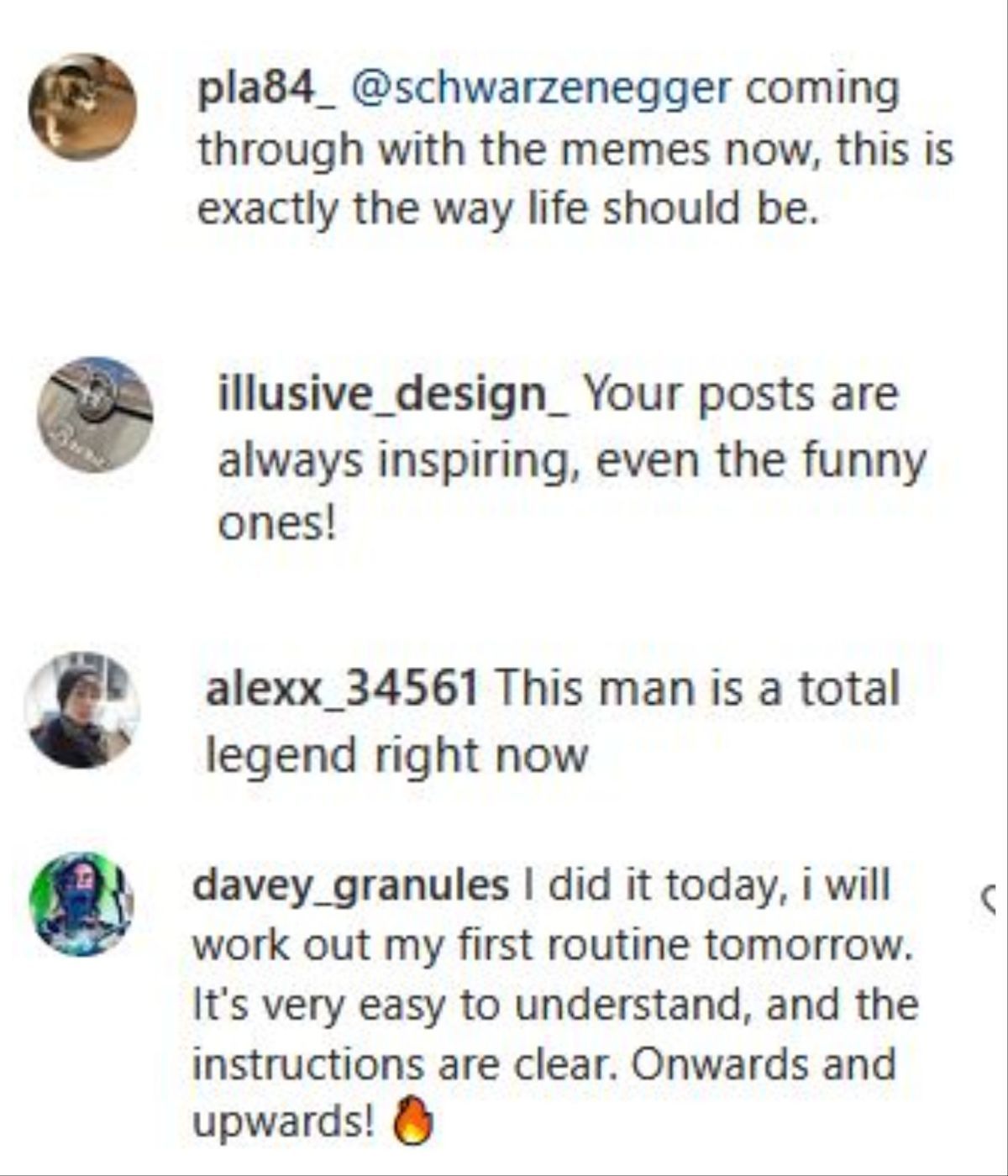 Fans comment down several hilarious comments on Arnie's post - Screengrab via Instagram/@schwarzenegger