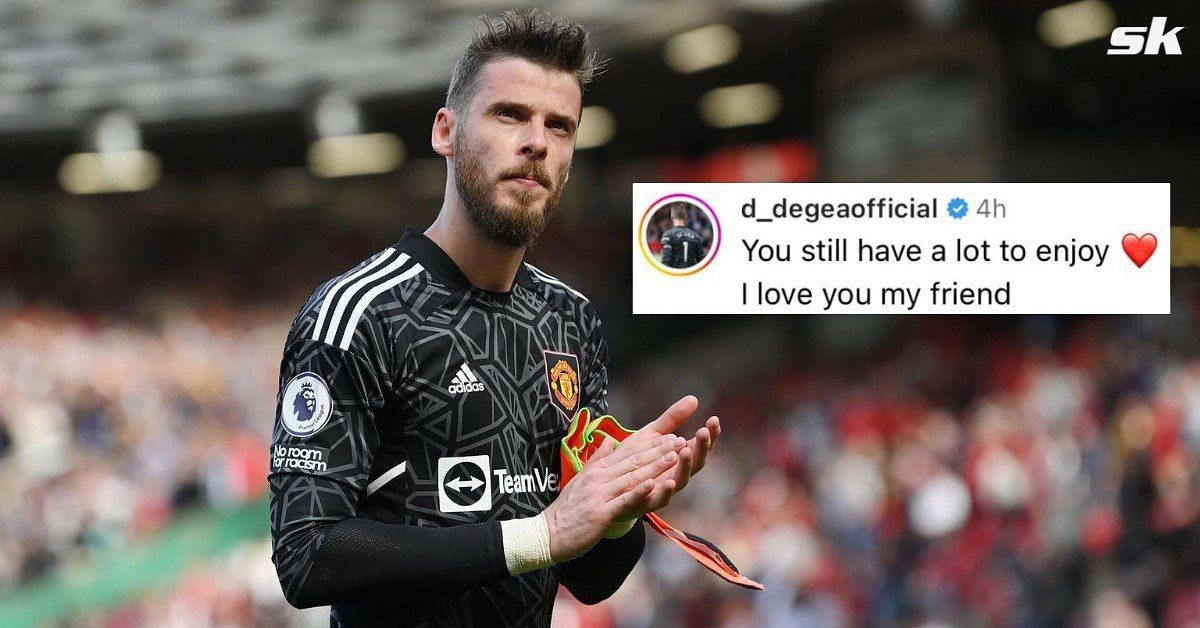 David De Gea sends encouraging message to Ander Herrera