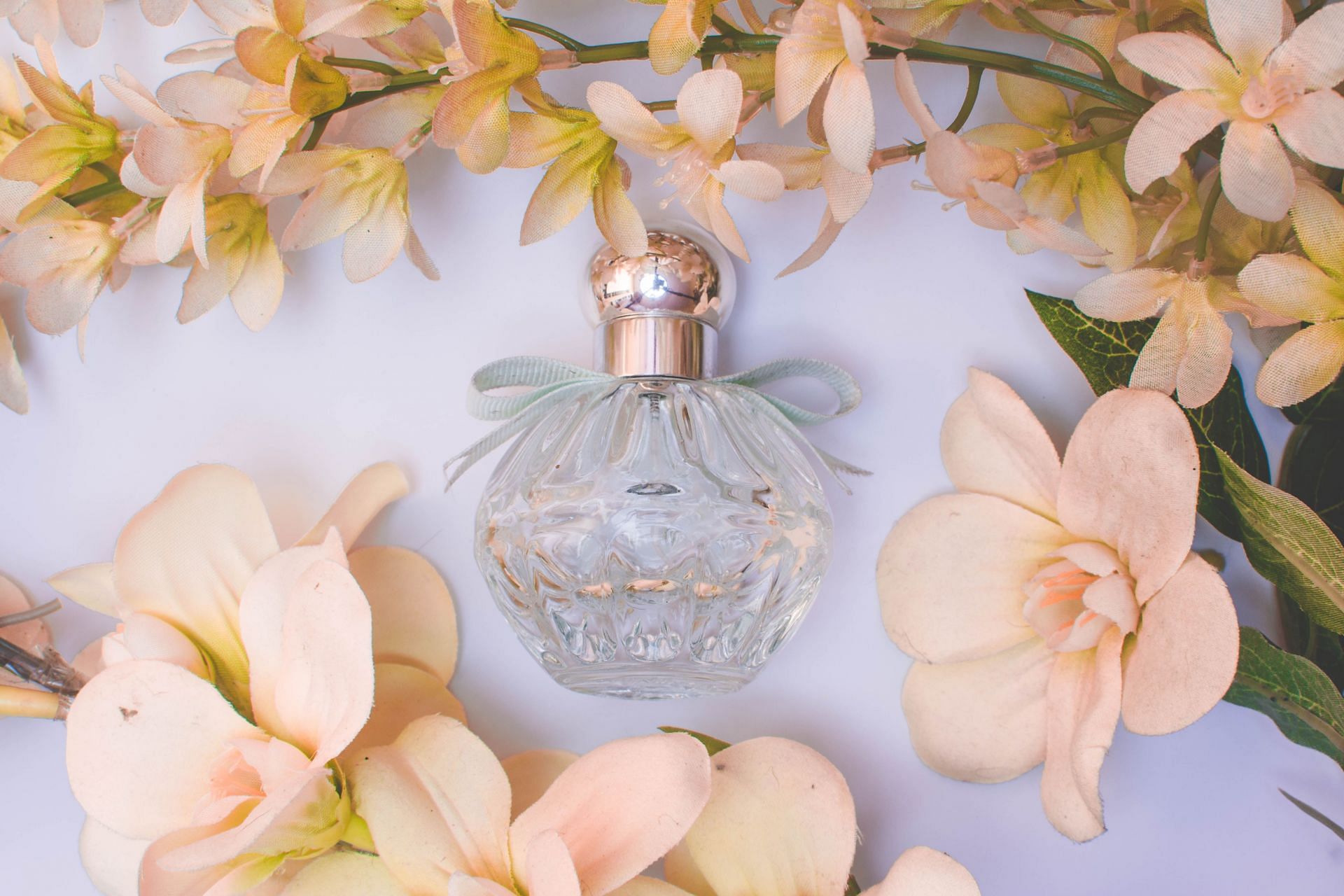 Tips to make perfumes last longer (Image via Unsplash)