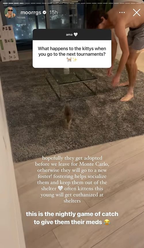 Via Instagram: Riddle updates her fans about the kittens