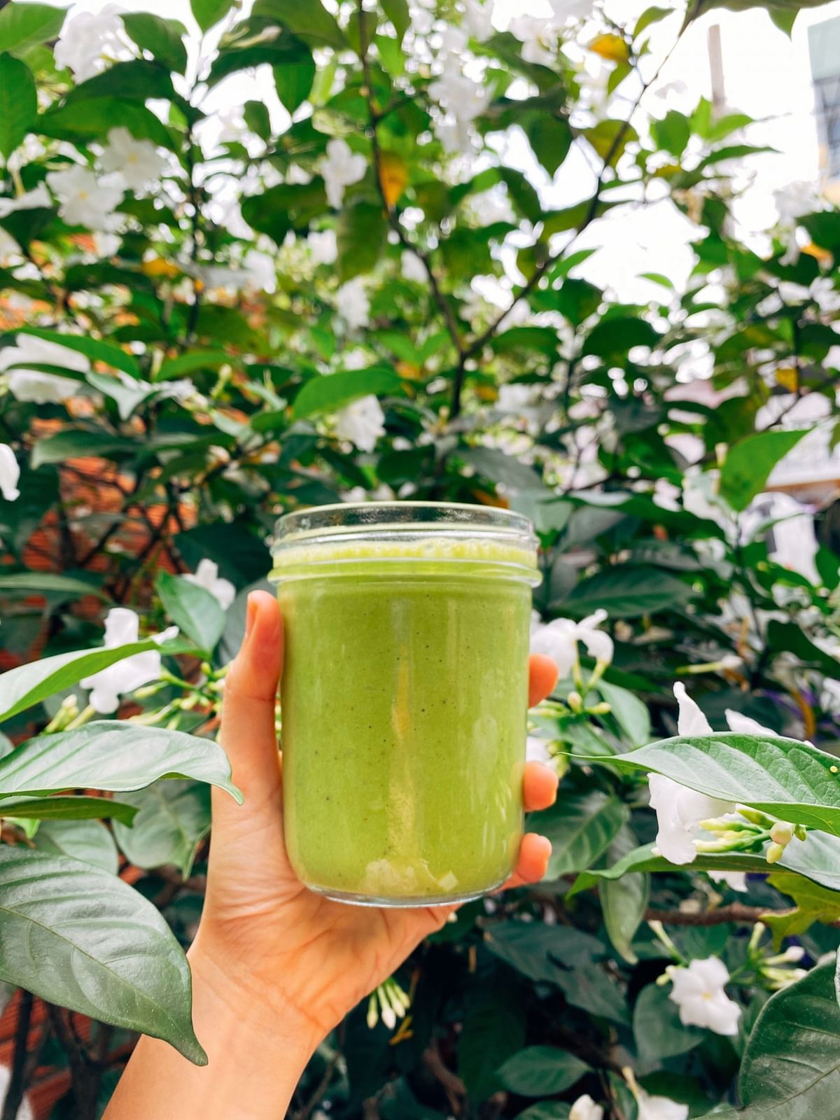 Green Juice A NutrientPacked Drink for Optimal Health