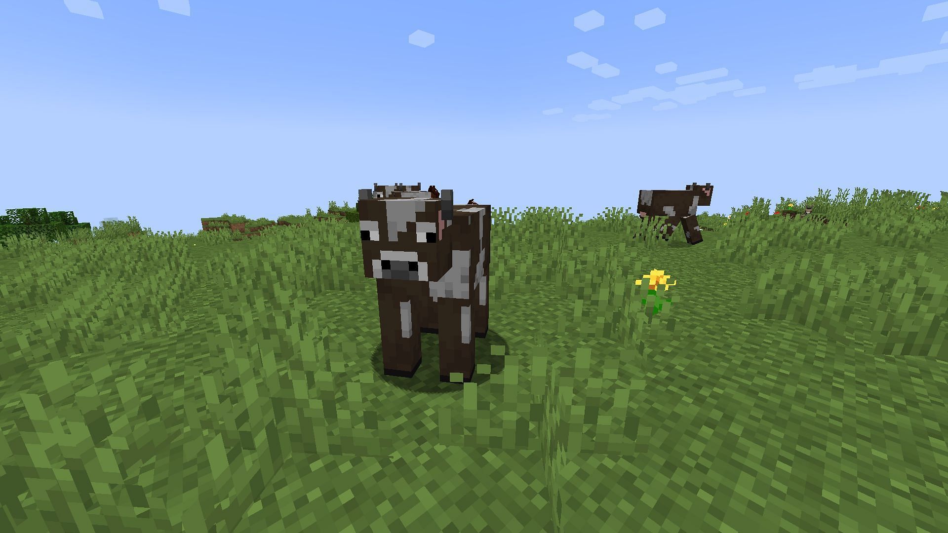 Cows are great to breed since they drop beef upon death, which is an excellent source of food in Minecraft 1.19 (Image via Mojang)