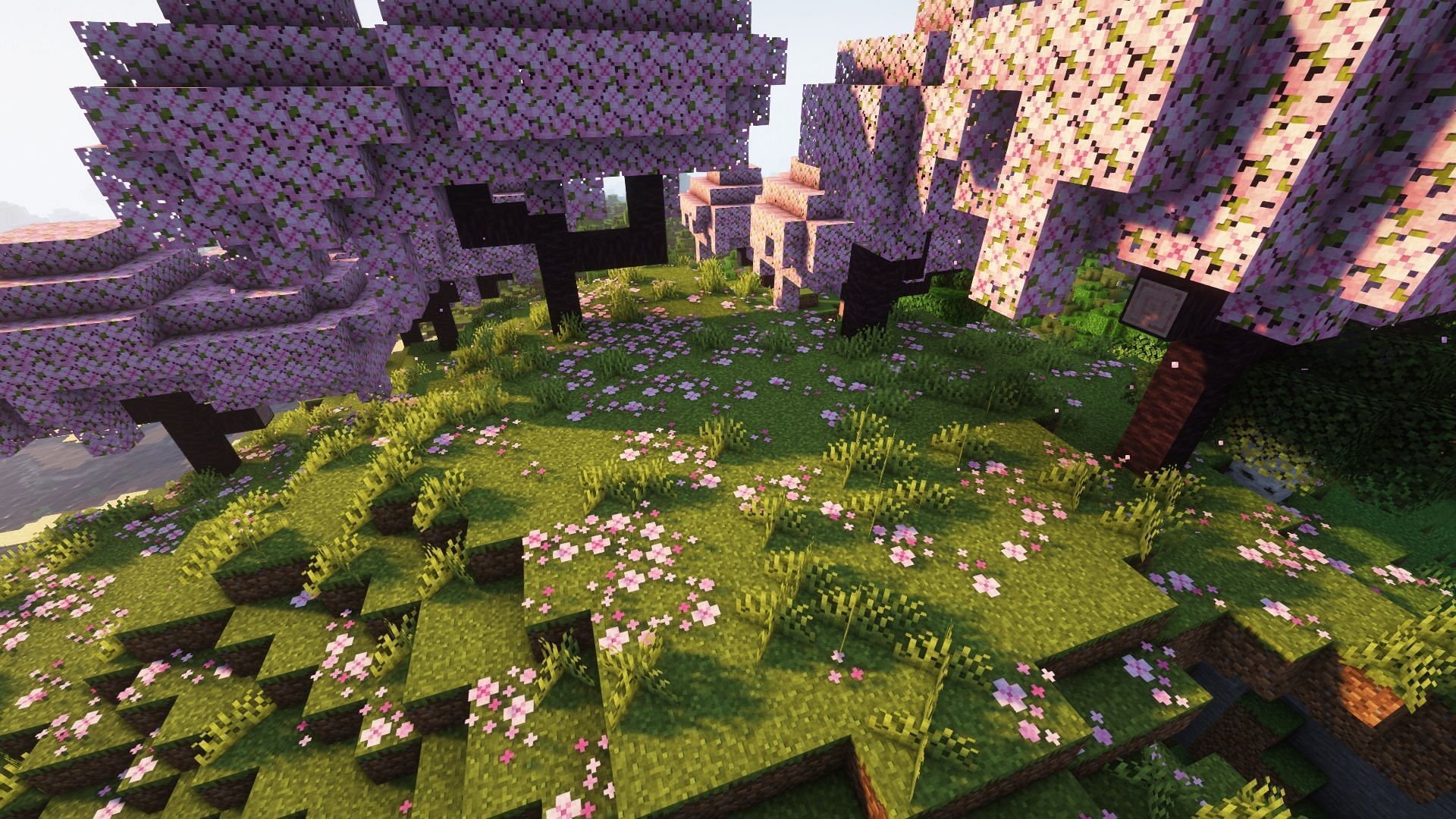 Cherry groves biome in latest snapshot (Image via Mojang)