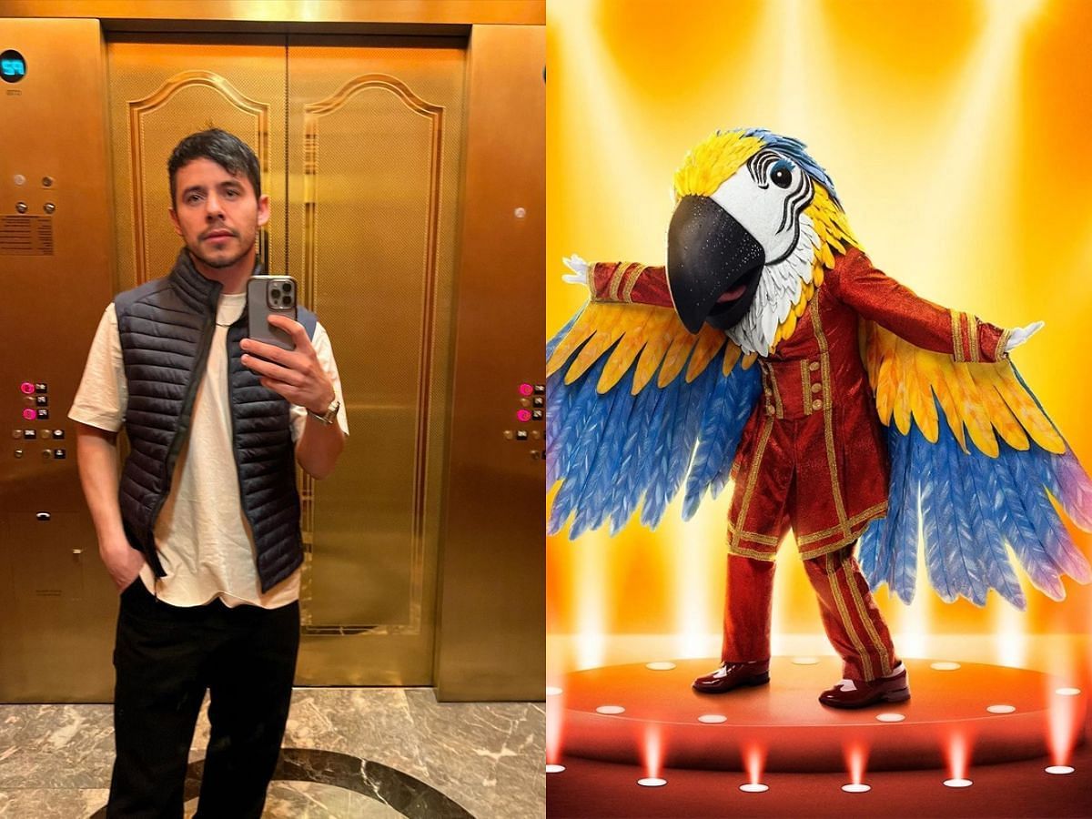 Is David Archuleta behind the Macaw mask? (Image via Fox and davidarchie/ Instagram)