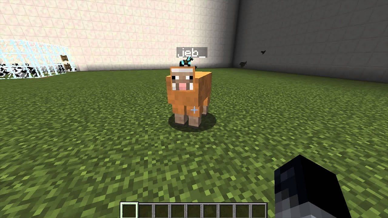 A jeb sheep in Minecraft (Image via MrJasonWilmot on YouTube)