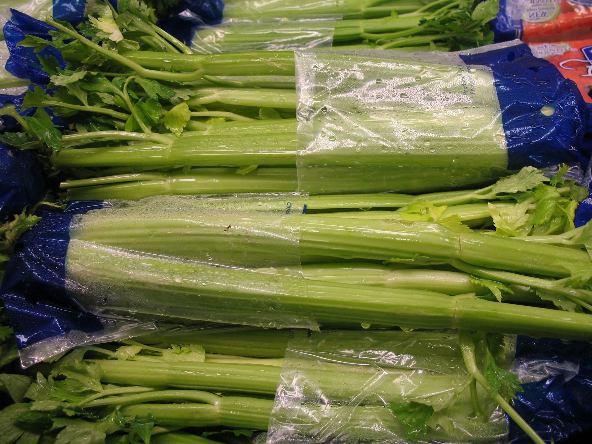 There are many benefits of celery juice, a celery is full of various nutrients (Image via Flickr)