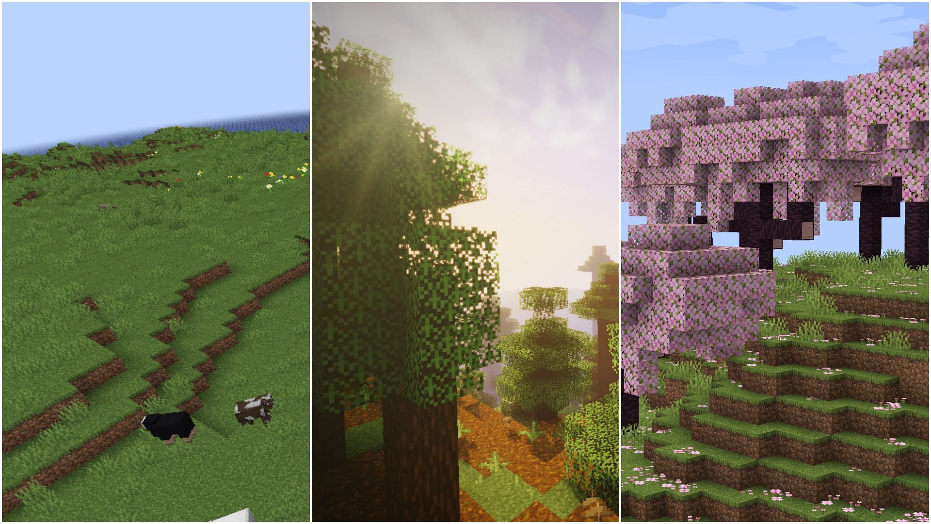 Some of the best biomes to survive in Minecraft (Image via Sportskeeda)