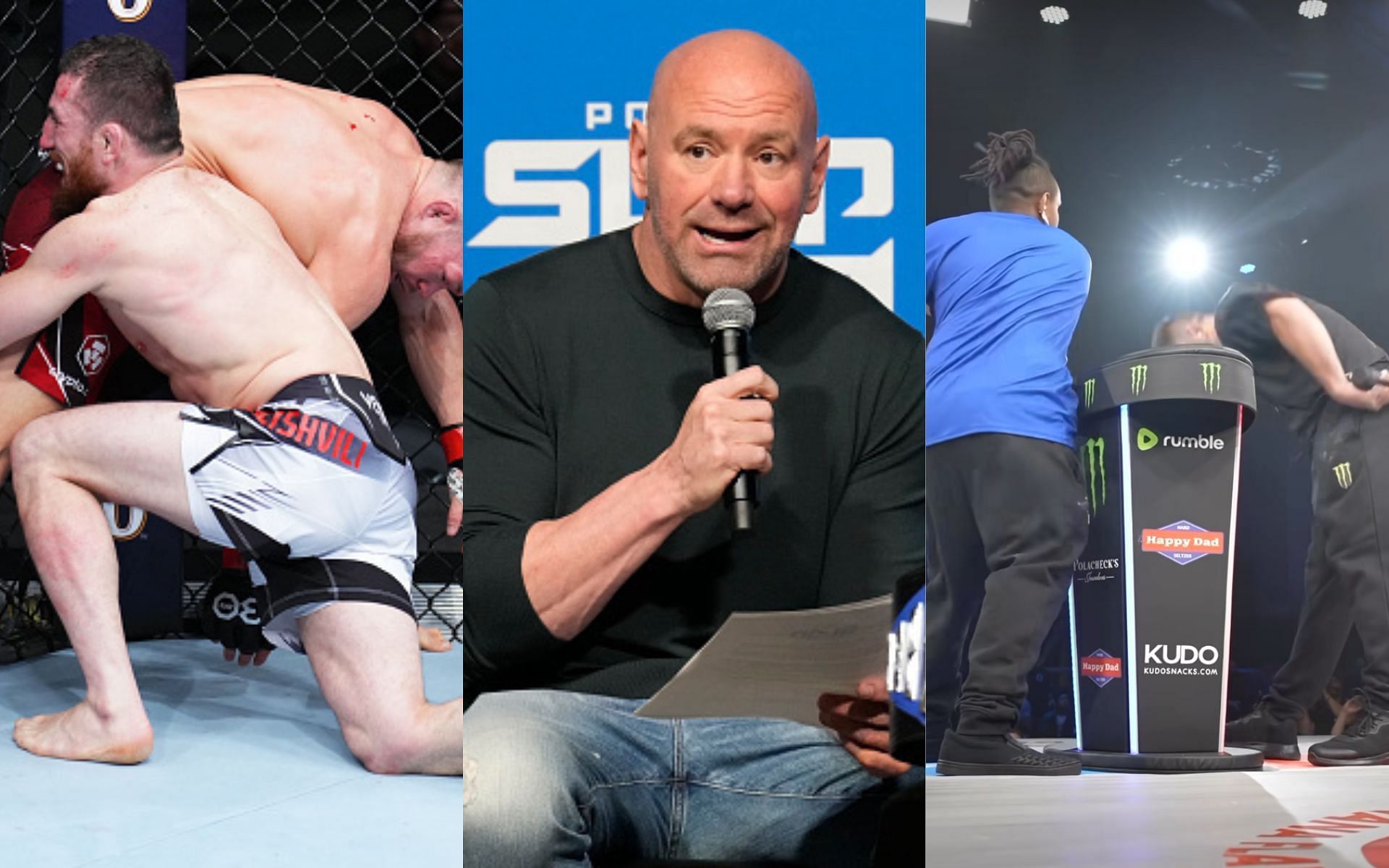 Dana White