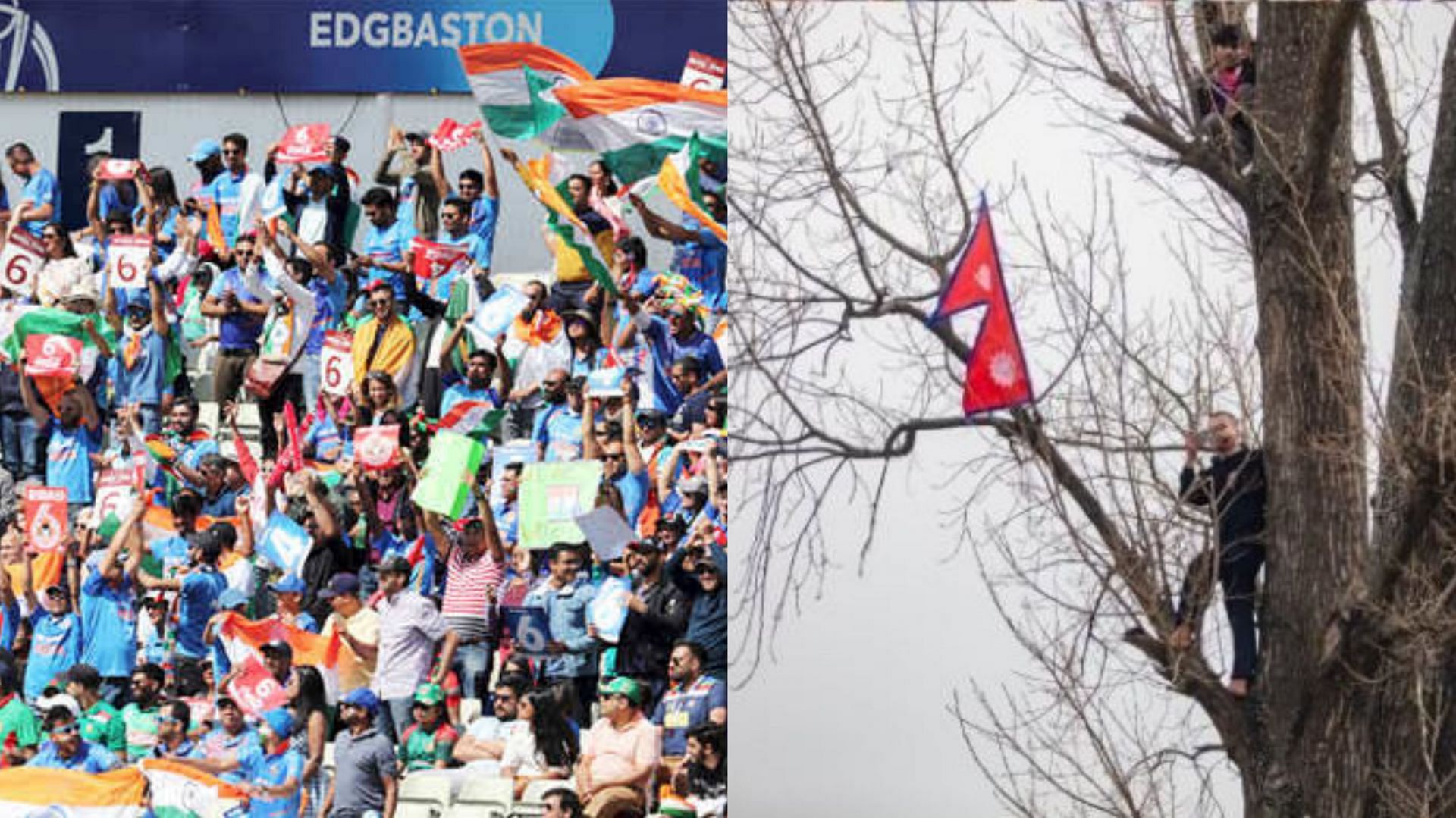 Fans have done some crazy things to watch a cricket match (Image: Twitter)