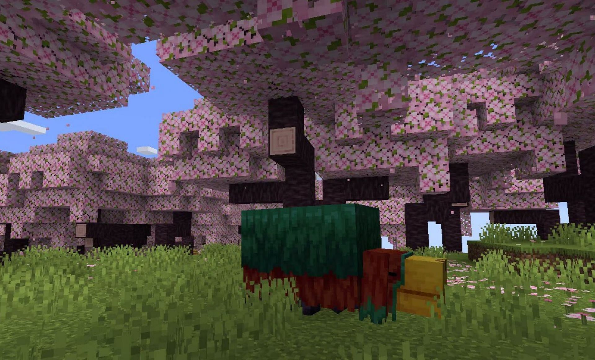 7 best seeds for cherry biome in Minecraft snapshot and beta