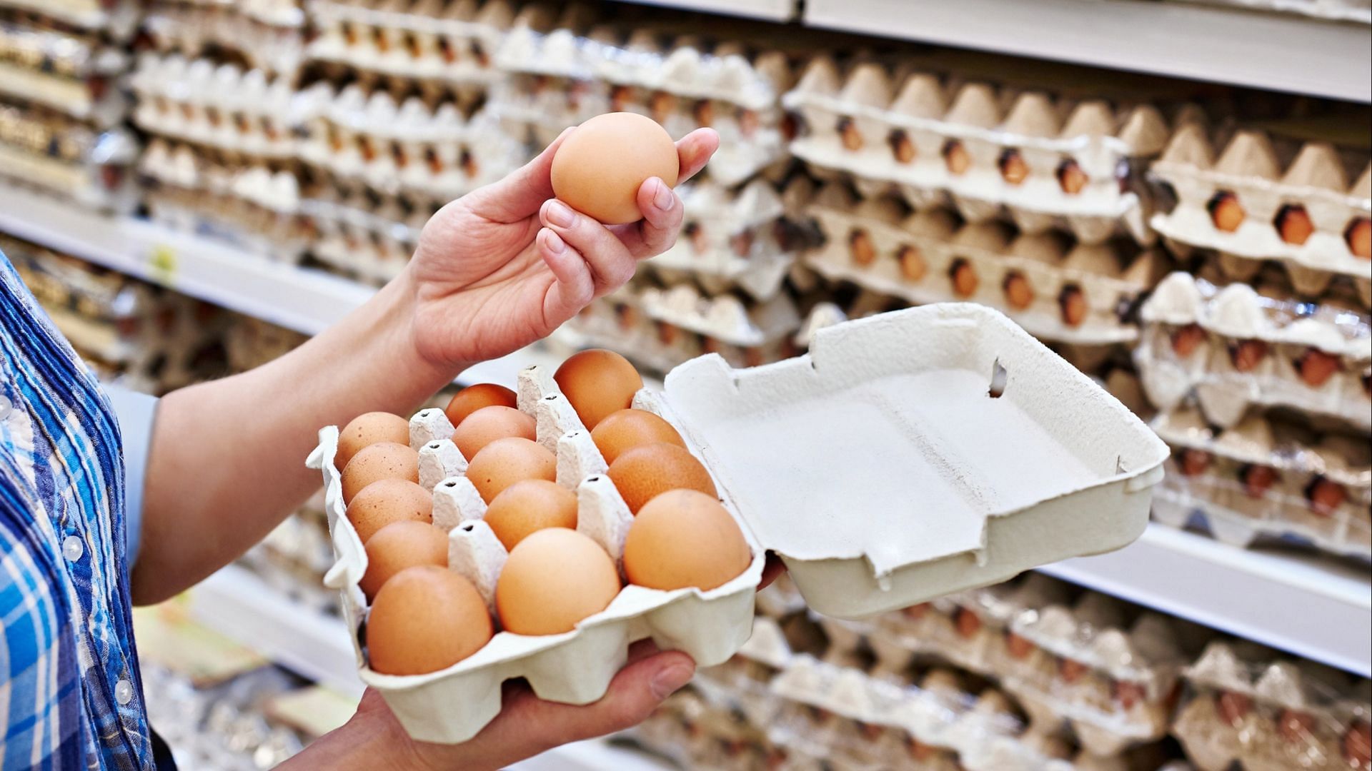 Egg prices have seen a hike of over 60% since the last fall (Image via Sergeyryzhov/Getty Images)