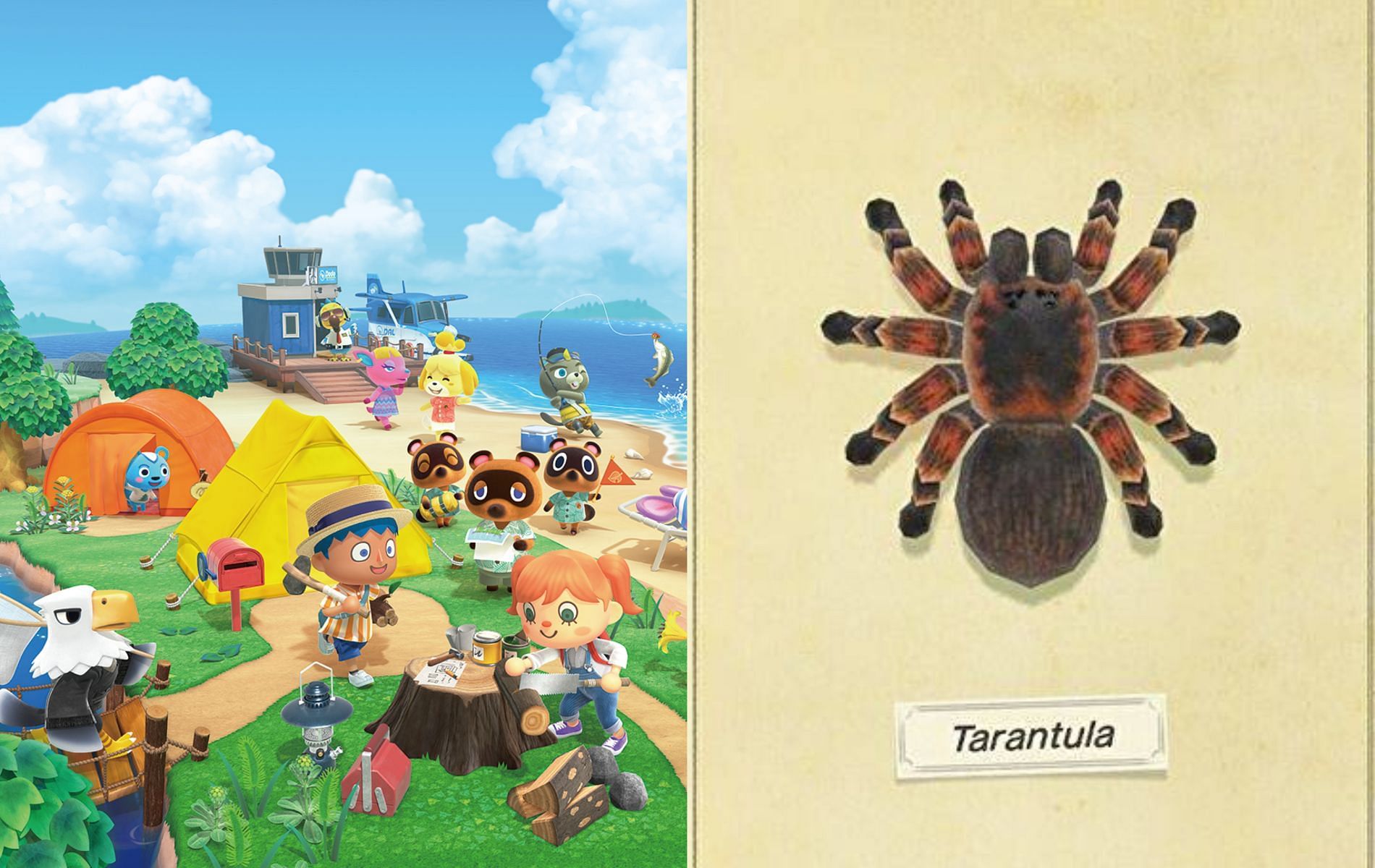 This hairy spider is on of the many creepy cralies to be found in the game (Images via Nintendo)