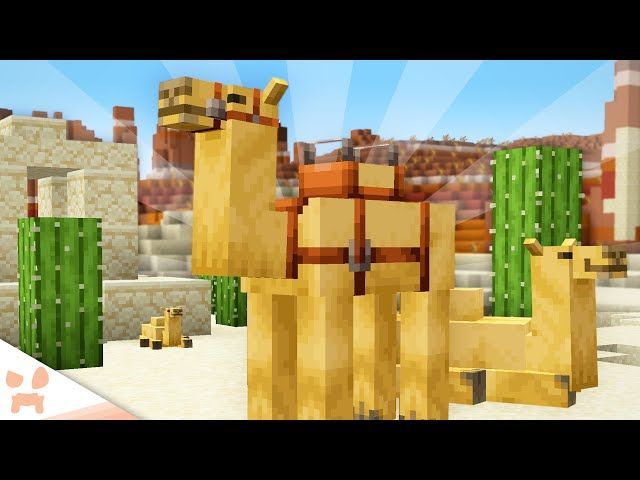 How to find camels in Minecraft 1.20 Trails & Tales update