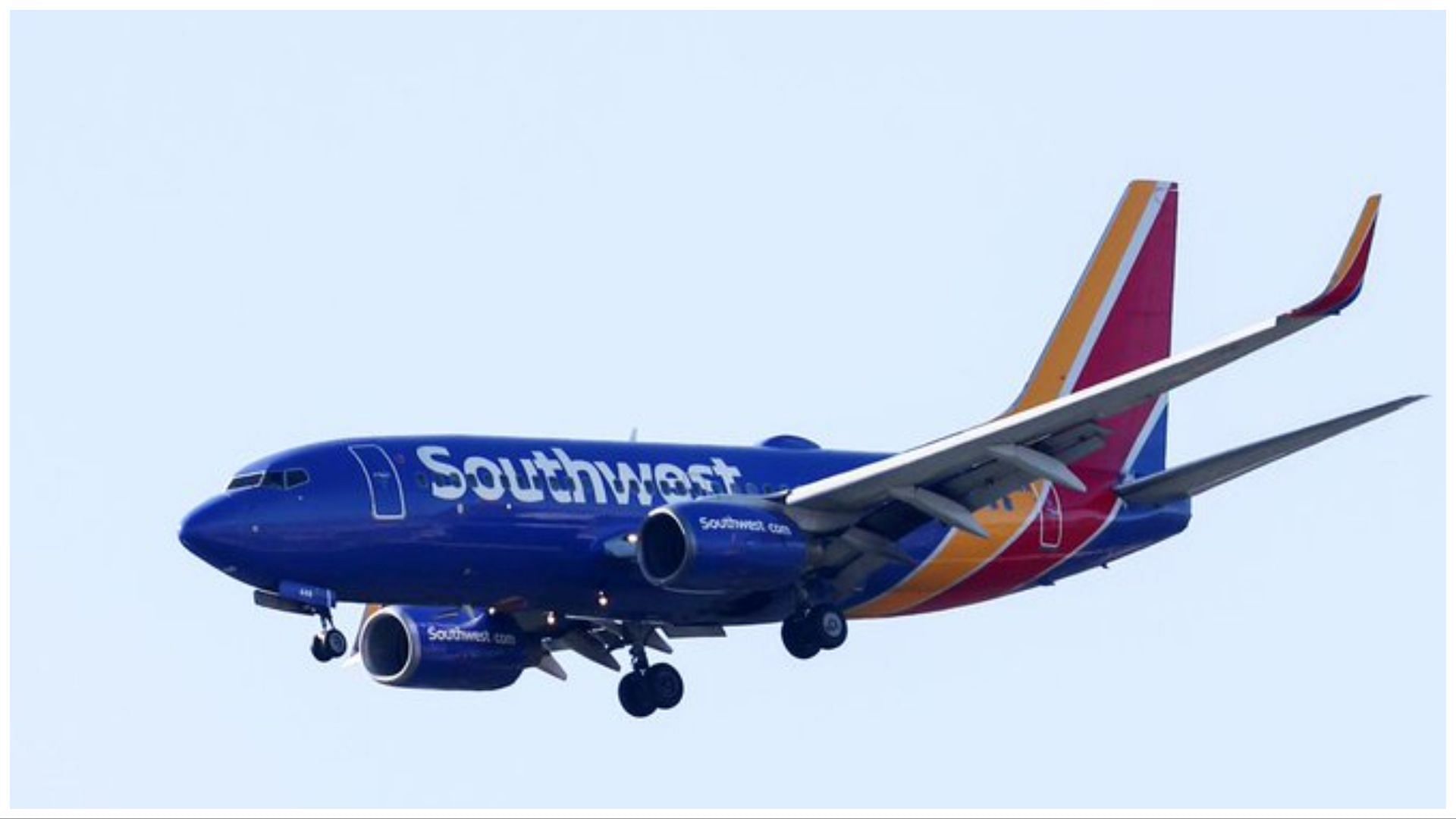 A violent brawl broke out on a Southwest Airlines flight, (Image via Dr. Jeff Rabinowitz (VotedBlueIn2022) 🇺🇦/Twitter)