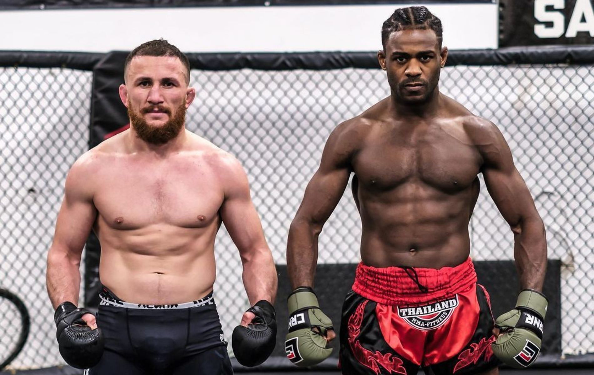 Merab Dvalishvili and Aljamain Sterling