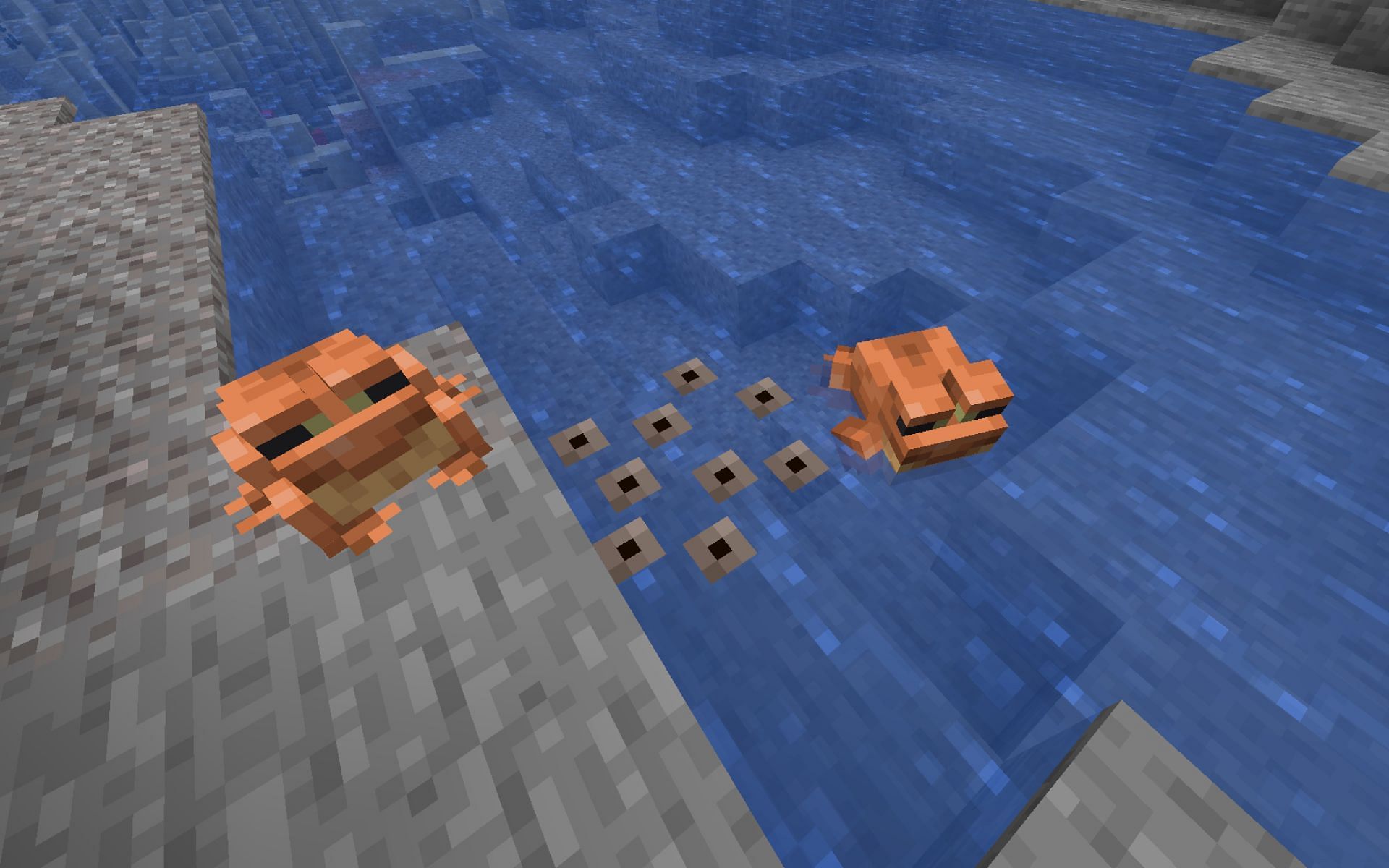 Frogs eat slimeballs to lay eggs that hatch into tadpoles in Minecraft (Image via Mojang)