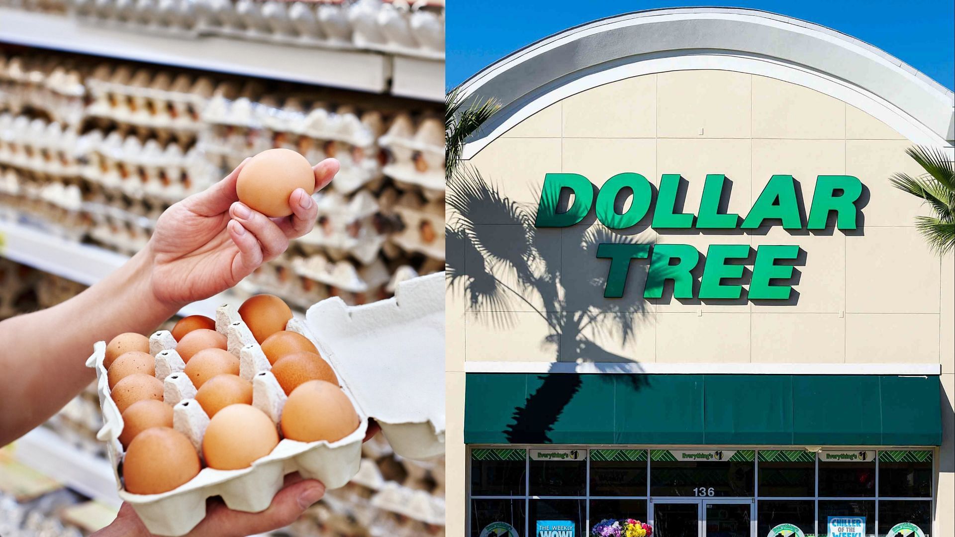 Multi-price point store, Dollar Tree, to stop selling eggs for the forseeable future starting March 2023 (Image via Sergeyryzhov/John Greim/Getty Images)