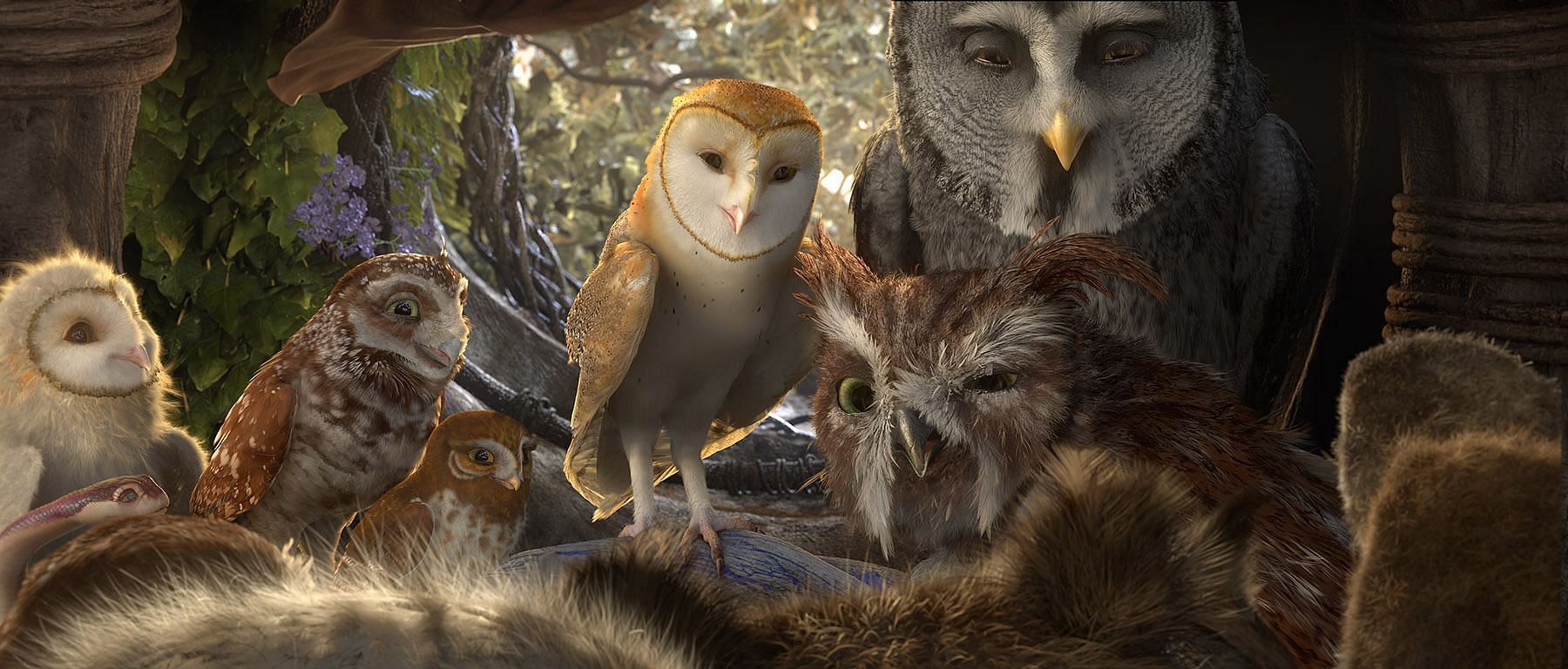 Legend of the Guardians: The Owls of Ga&#039;Hoole showcases Snyder&#039;s talent for creating breathtaking visuals and emotionally resonant storytelling in this animated adventure (Image via Warner Bros)