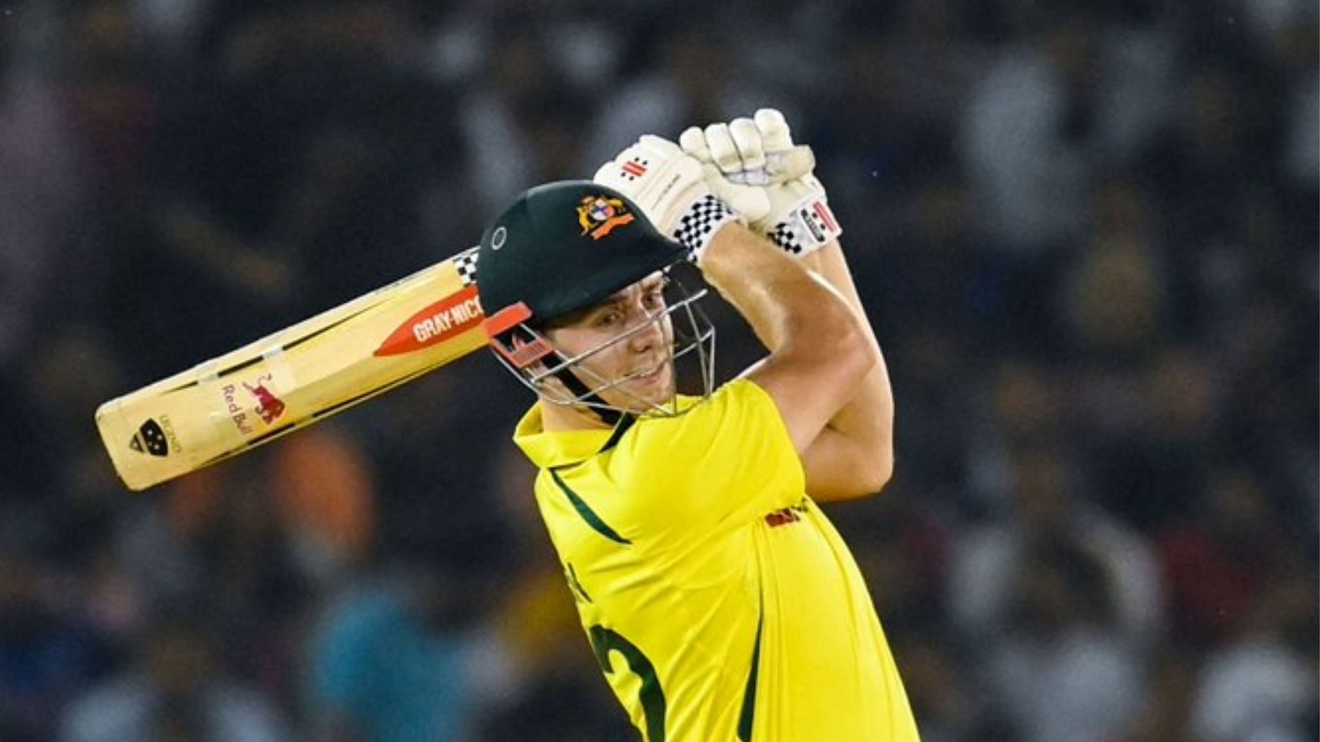 Cameron Green has emerged as a potential opening material for Australia.