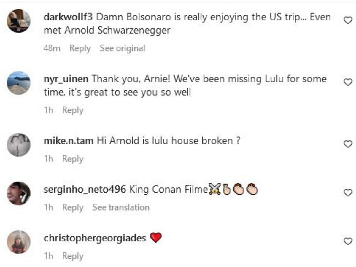 Screengrab of Schwarzenegger&#039;s Instagram comment section