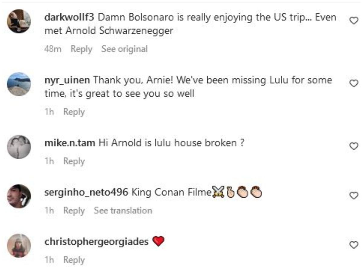 Screengrab of Schwarzenegger's Instagram comment section