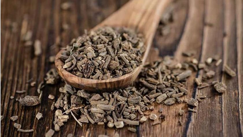 Valerian tea: Uses, safety, precautions, benefits, and more