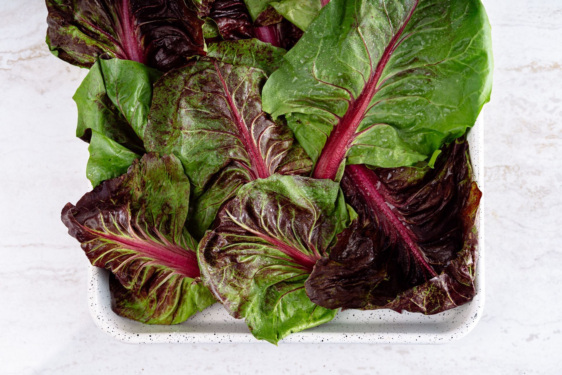 It is a nutrient-dense leafy green, packed with minerals and vitamins (Image via Pexels)
