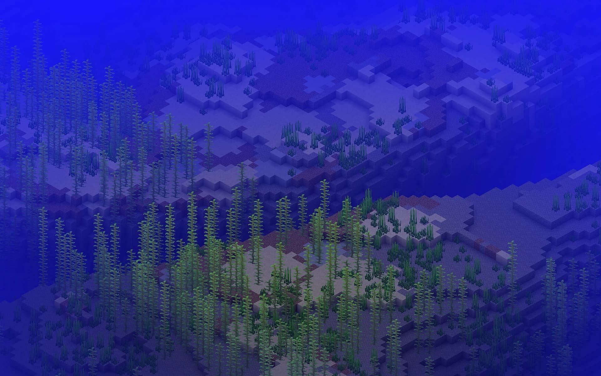 Players can find lots of oceans to explore using seeds (Image via Minecraft.Fandom.com)