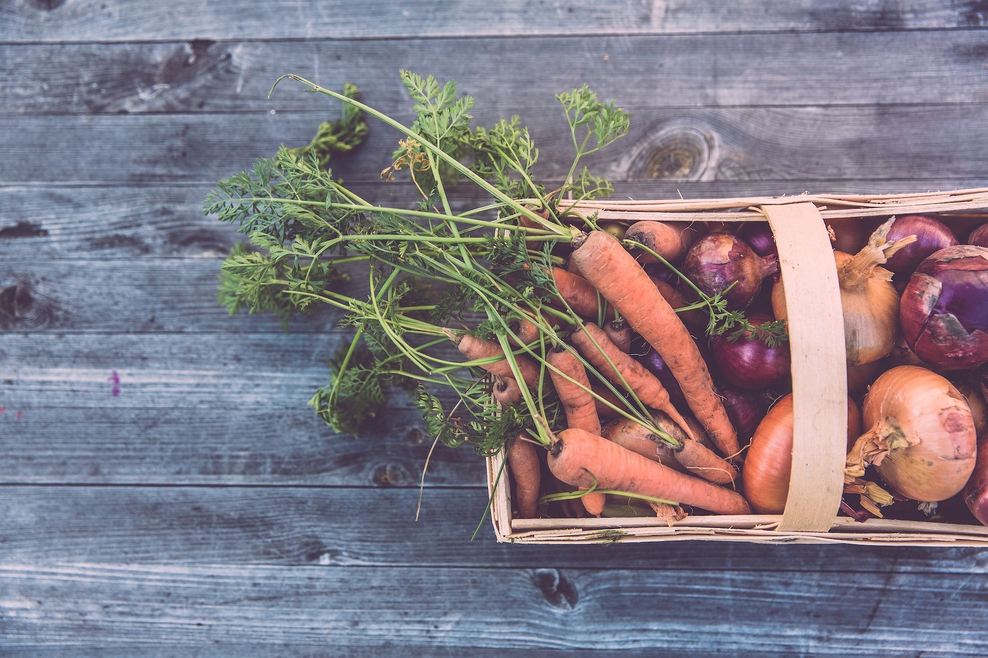 Foods good for liver (Photo via Markus Spiske/Unsplash)