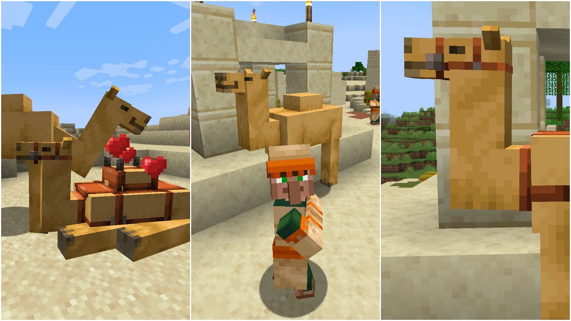 Camels are fascinating new mobs coming to Minecraft 1.20 update (Image via Sportskeeda)