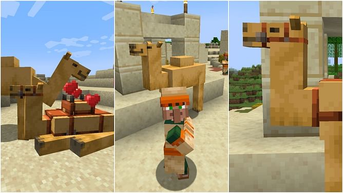 Top 5 things to know about camels in Minecraft 1.20 update