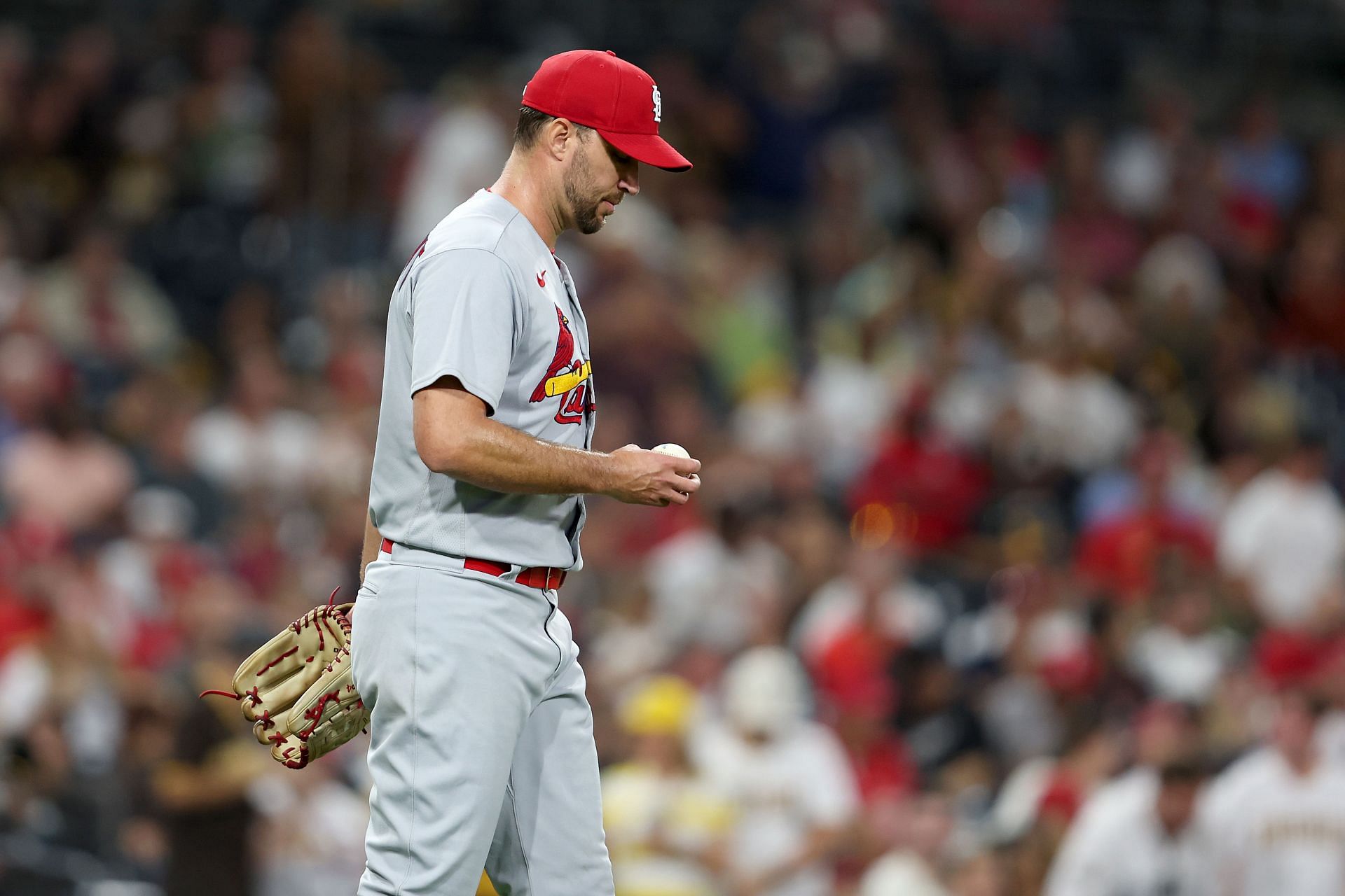 Team USA pitcher Adam Wainwright has never had so much fun playing  baseball as he has in the World Baseball Classic