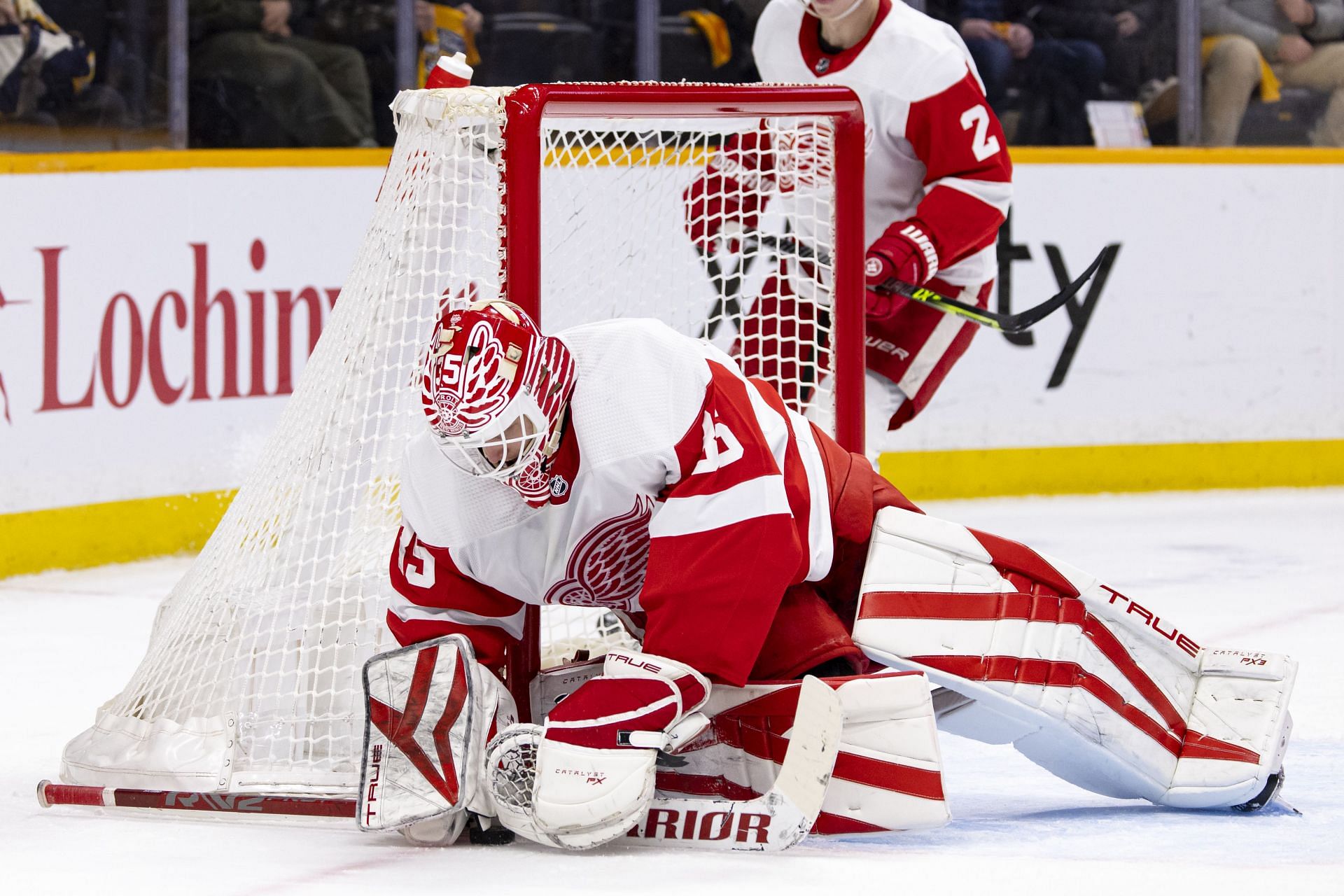 Detroit Red Wings v Nashville Predators