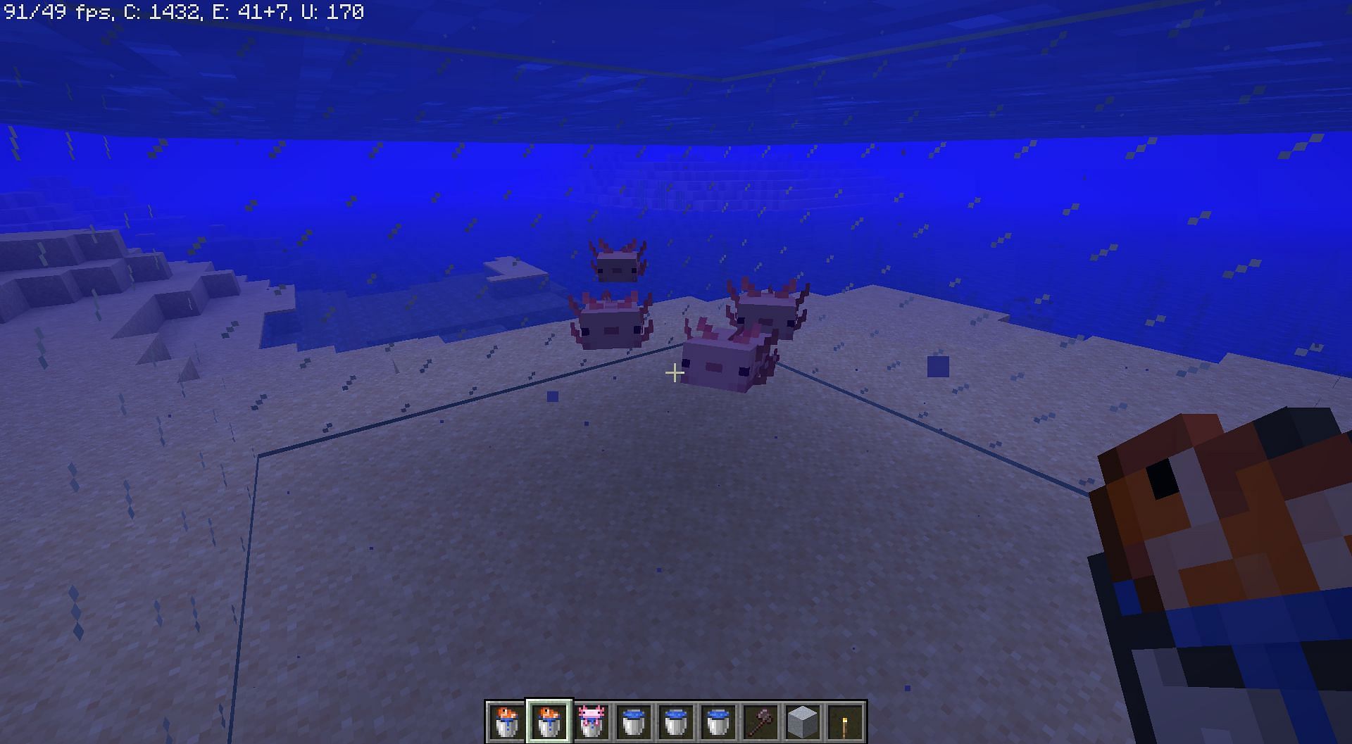 An army of axolotls can be pretty helpful against underwater mobs in Minecraft 1.19 (Image via Mojang)