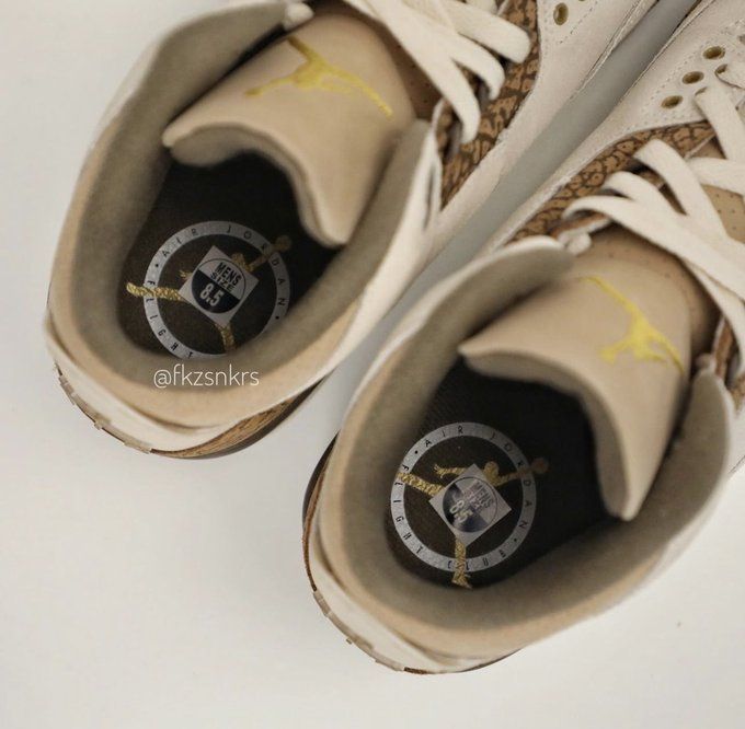 Air Jordan 3 Palomino CT8532-102 Release Date