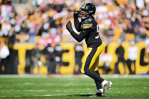 Malik Reed celebrates sacking Tom Brady - Tampa Bay Buccaneers v Pittsburgh Steelers