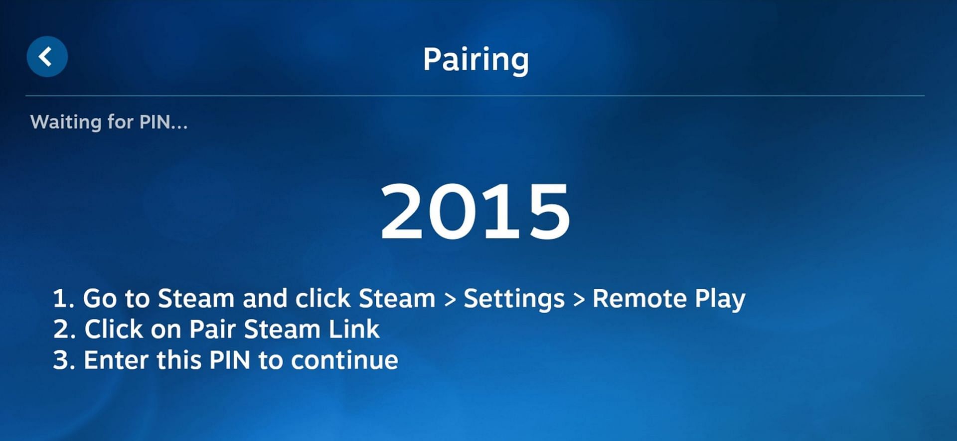 Everybody will be given a different PIN (Image via Steam Link)
