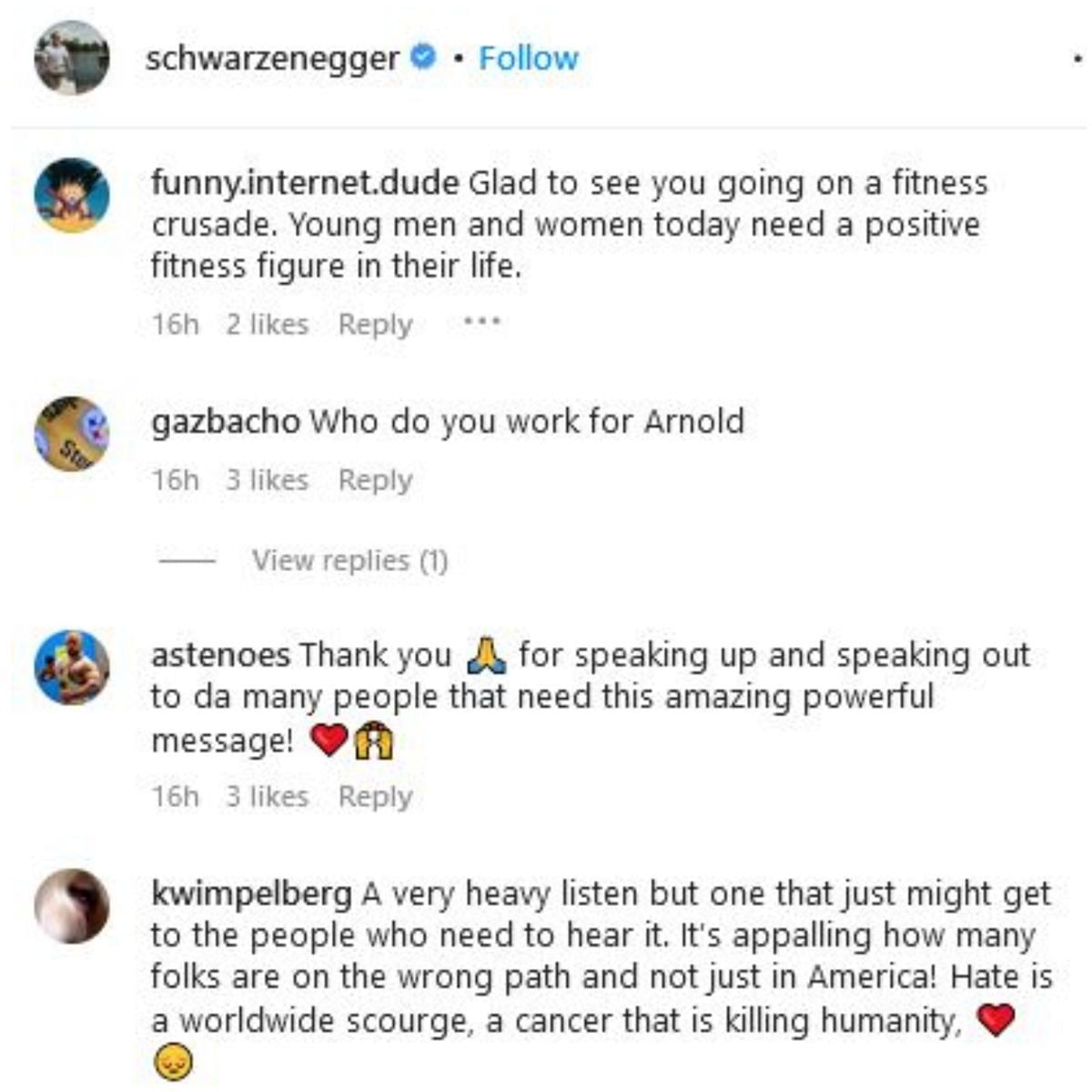 Screengrab of Arnold Schwarzenegger&#039;s Instagram comment section where fans rally in support of the Austrian Oak