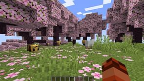 How to grow cherry trees in Minecraft 1.20 update