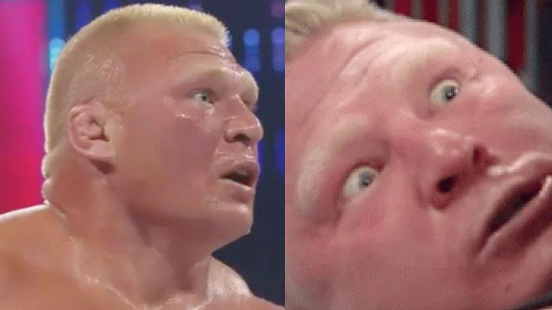 Brock Lesnar is a former WWE Champion 