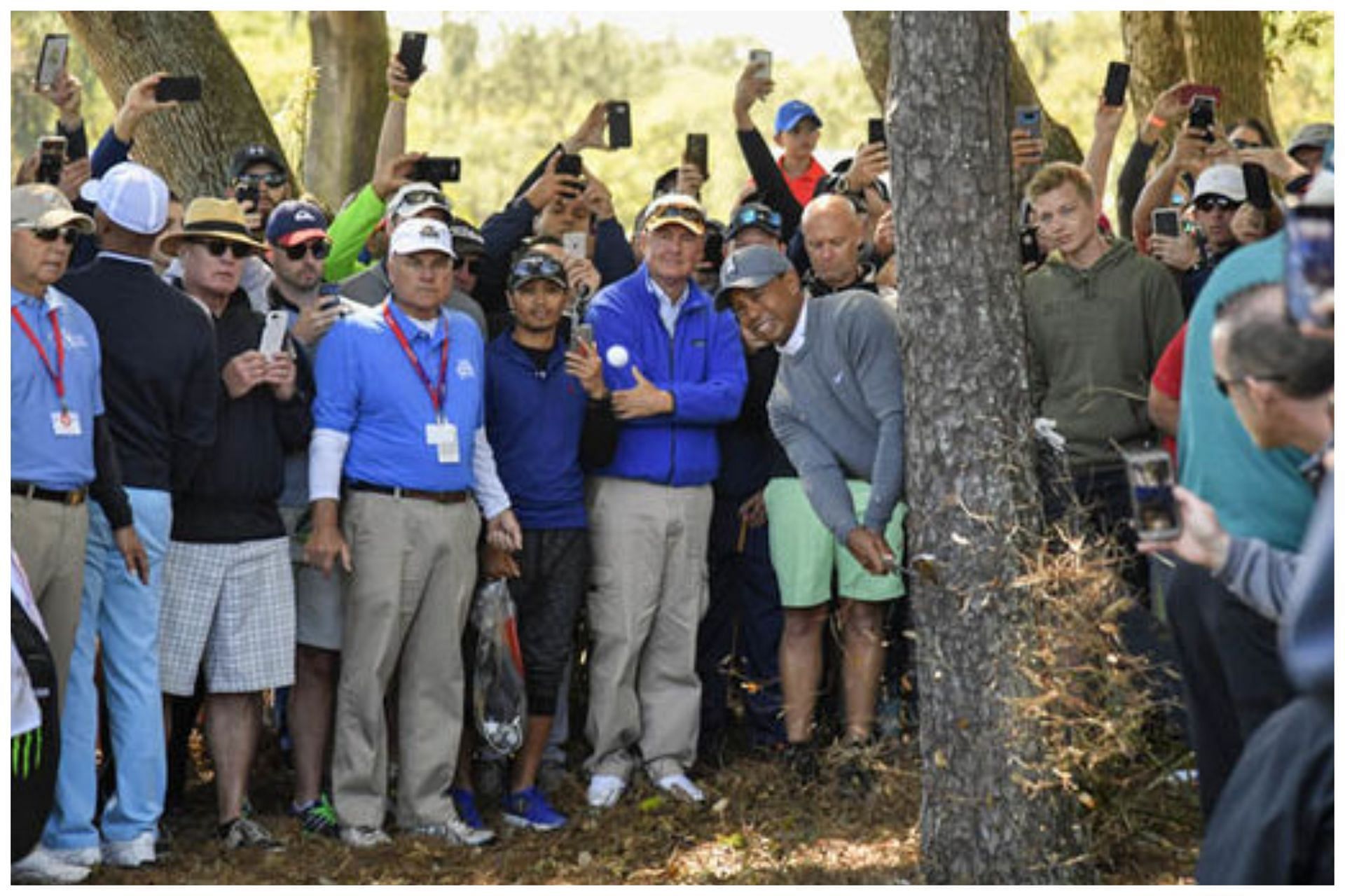 Tiger Woods with his remarkable shot at the Valspar Championship 2018. (Image via Getty)