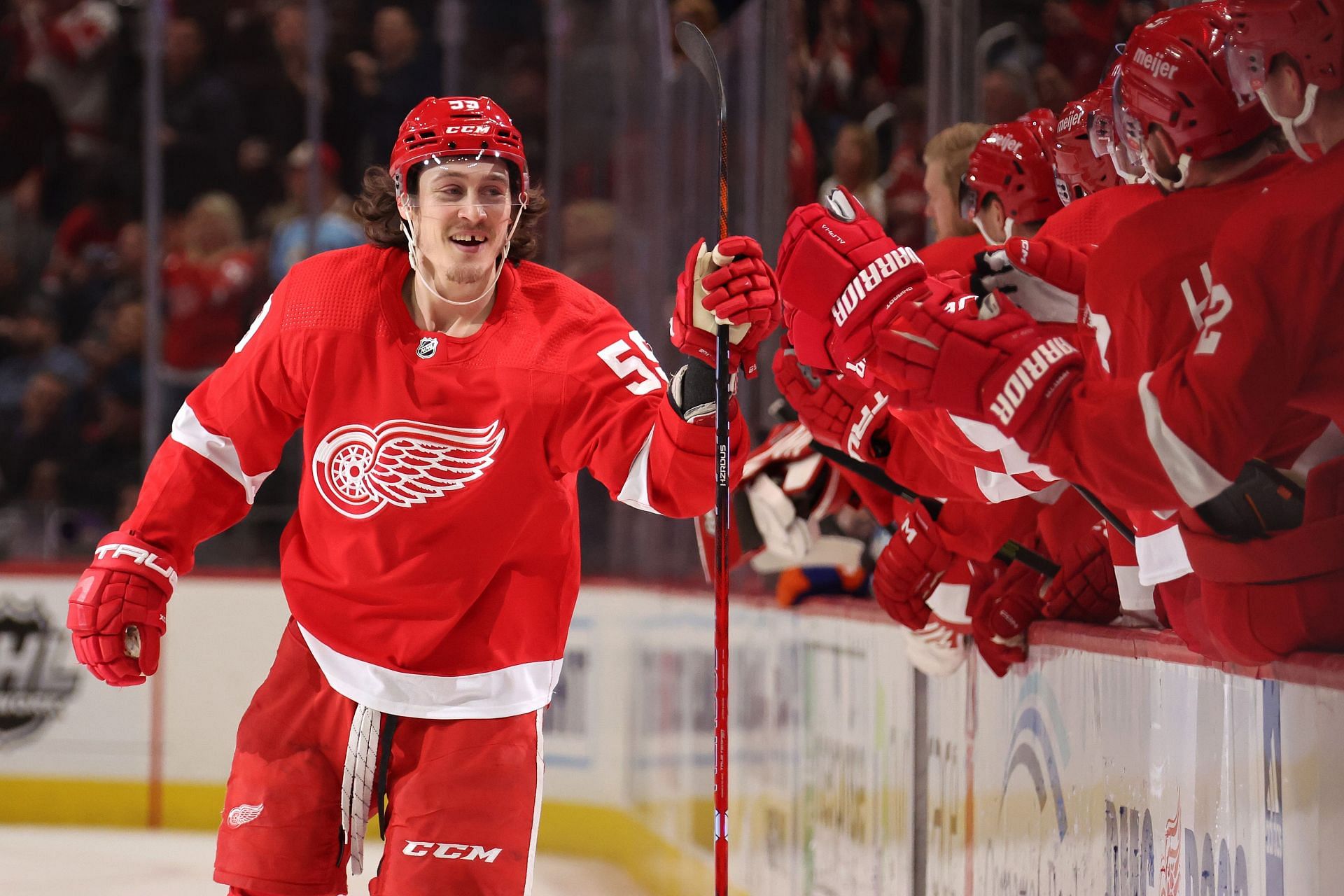 Tyler Bertuzzi Hockey Stats and Profile at