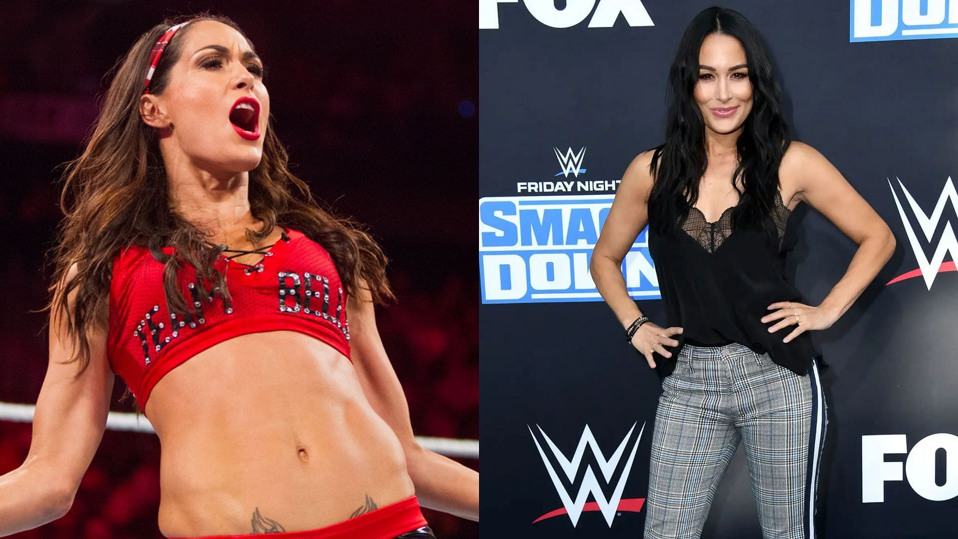 WWE Hall of Famer Brie Bella recently left the company