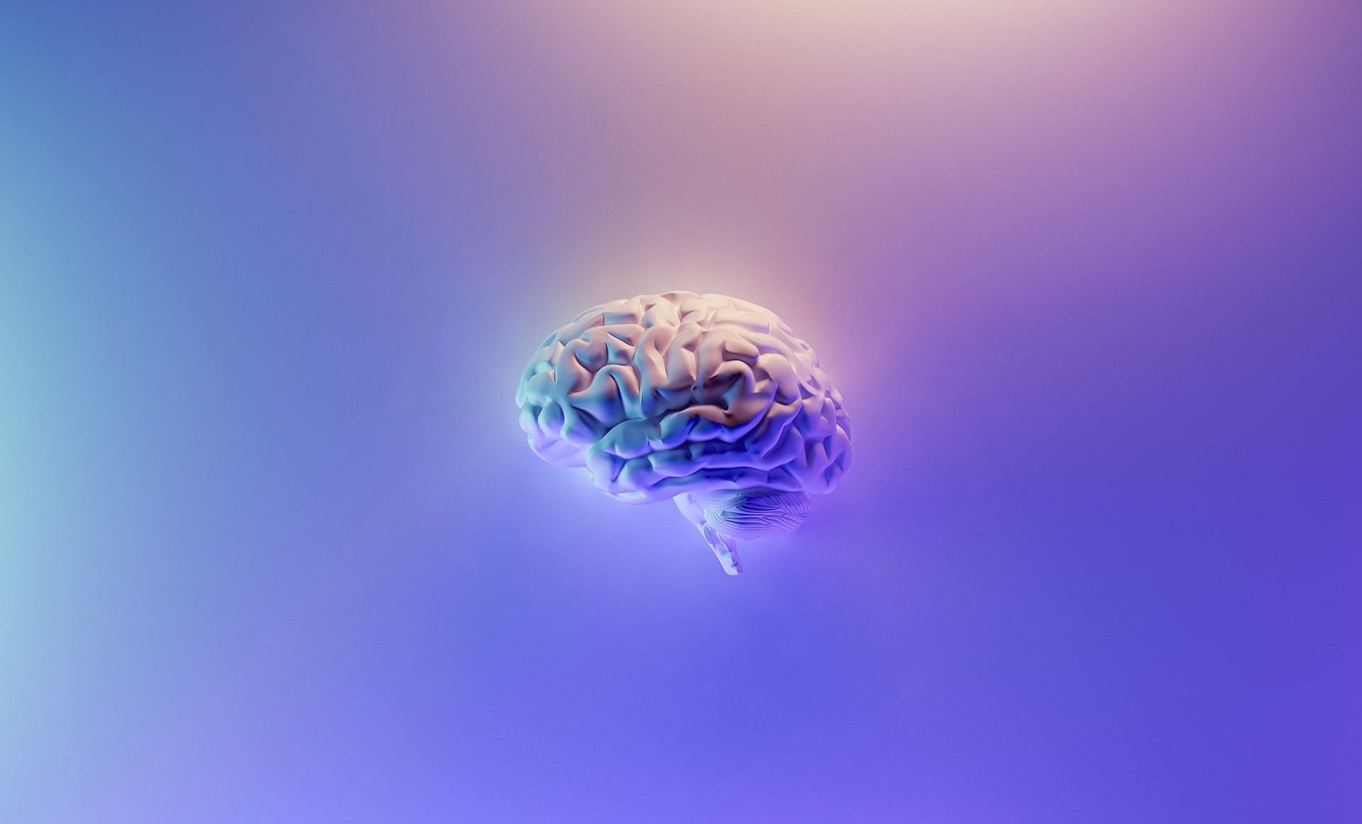 What is brain health? (Photo via Milad Fakurian/Unsplash)