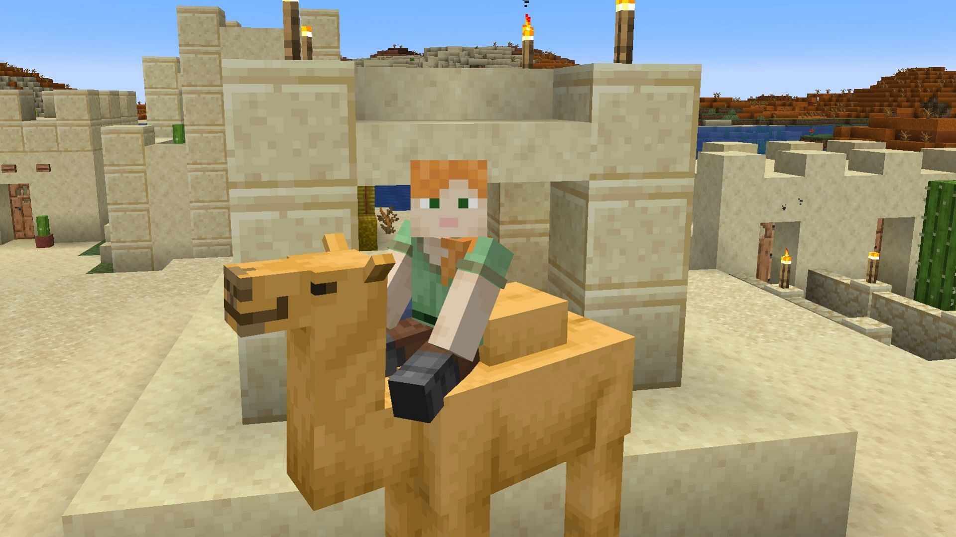 What do camels eat in Minecraft 1.20 update?