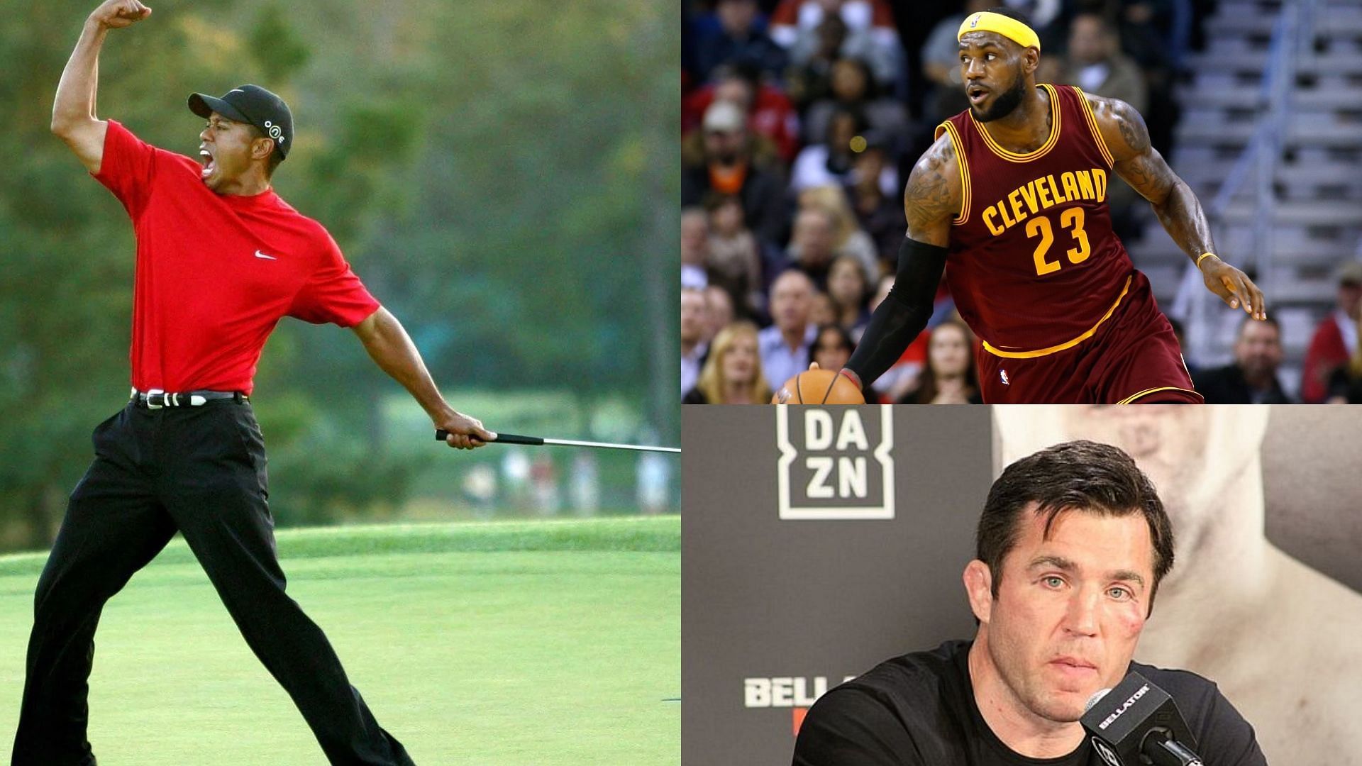 Lebron James, Tiger Woods and Chael Sonnen