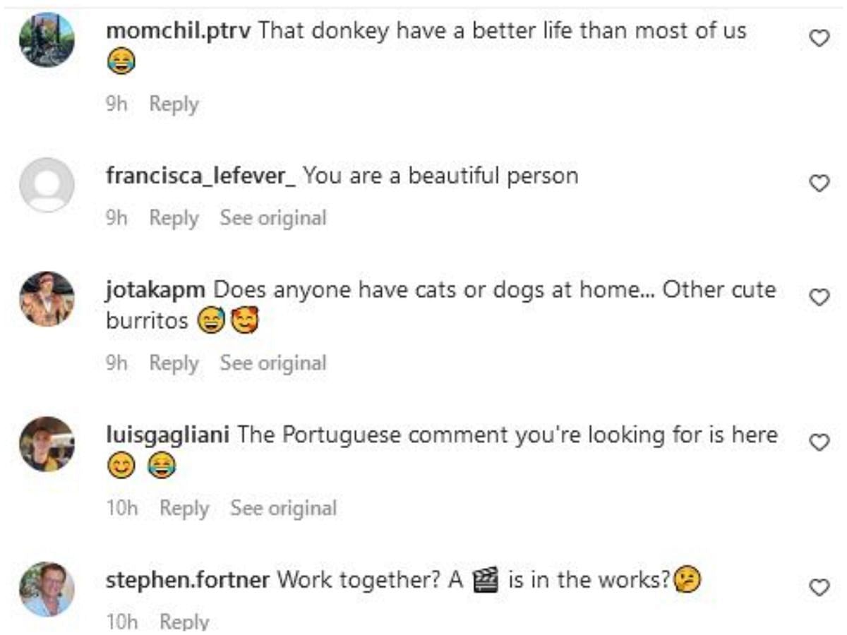 Screengrab of Schwarzenegger&#039;s Instagram comment section