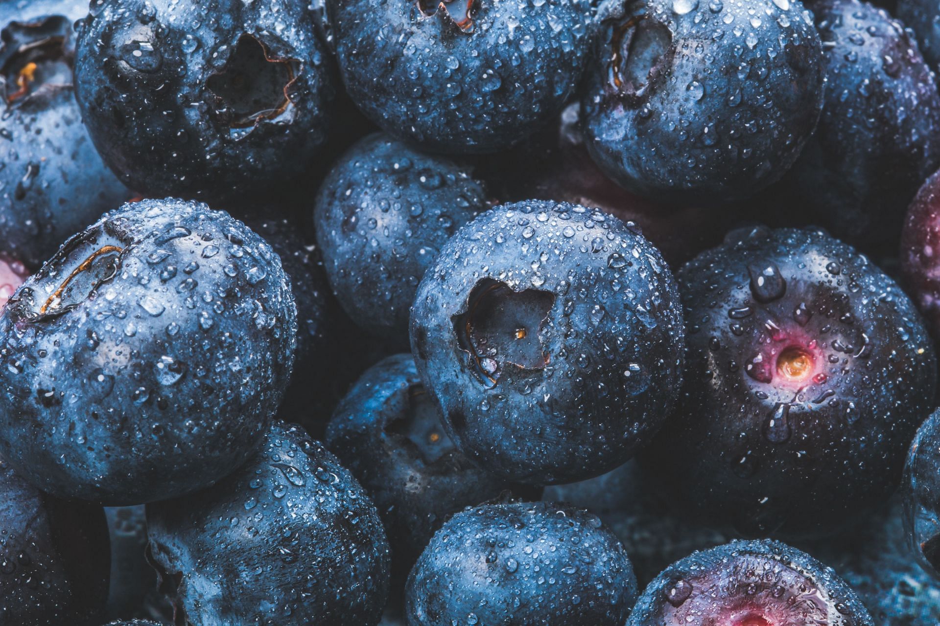 Blueberries, also known as bilberries, are small but mighty fruits that pack a powerful nutritional punch (Image via Pexels)