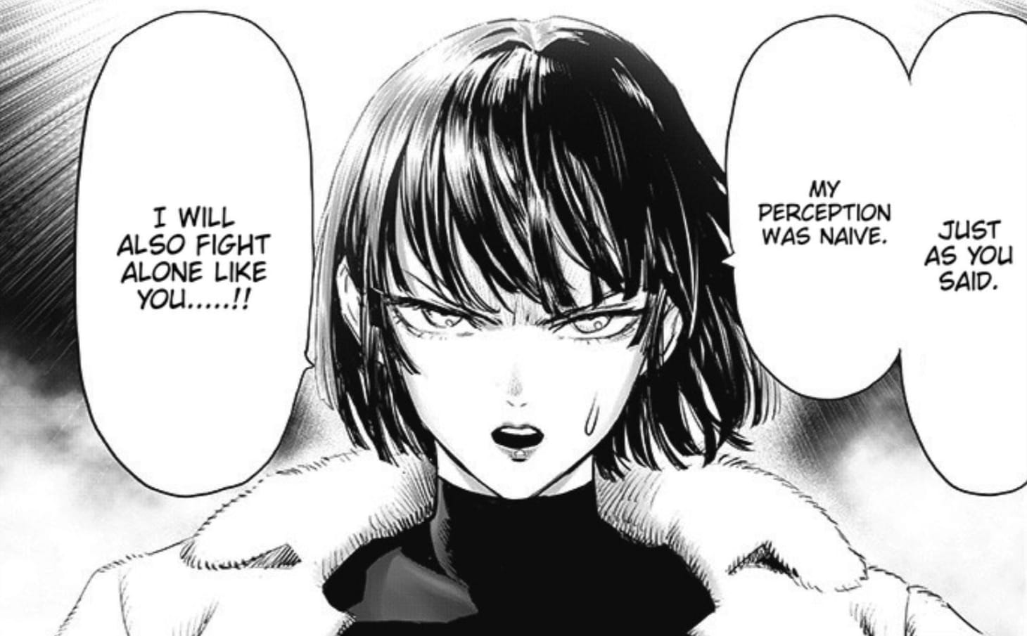 One Punch Man chapter 182: Tatsumaki vs Saitama ends, the Blizzard