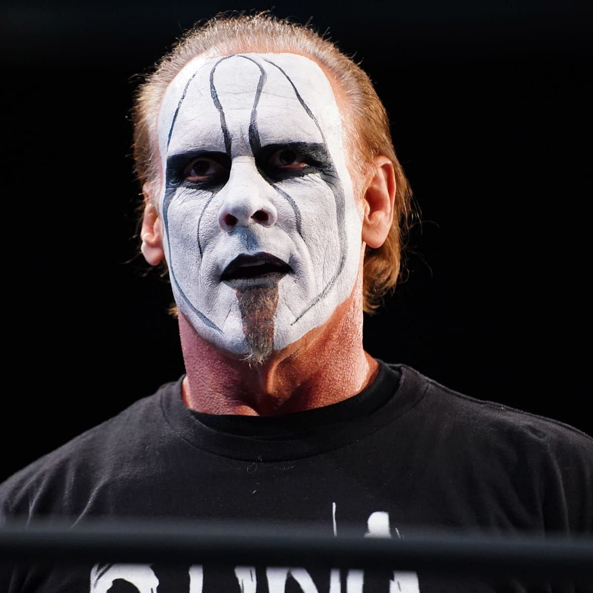 The Icon Sting